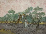 Vincent van Gogh's Women Picking Olives, 1889. (Photo by Buyenlarge/Getty Images)