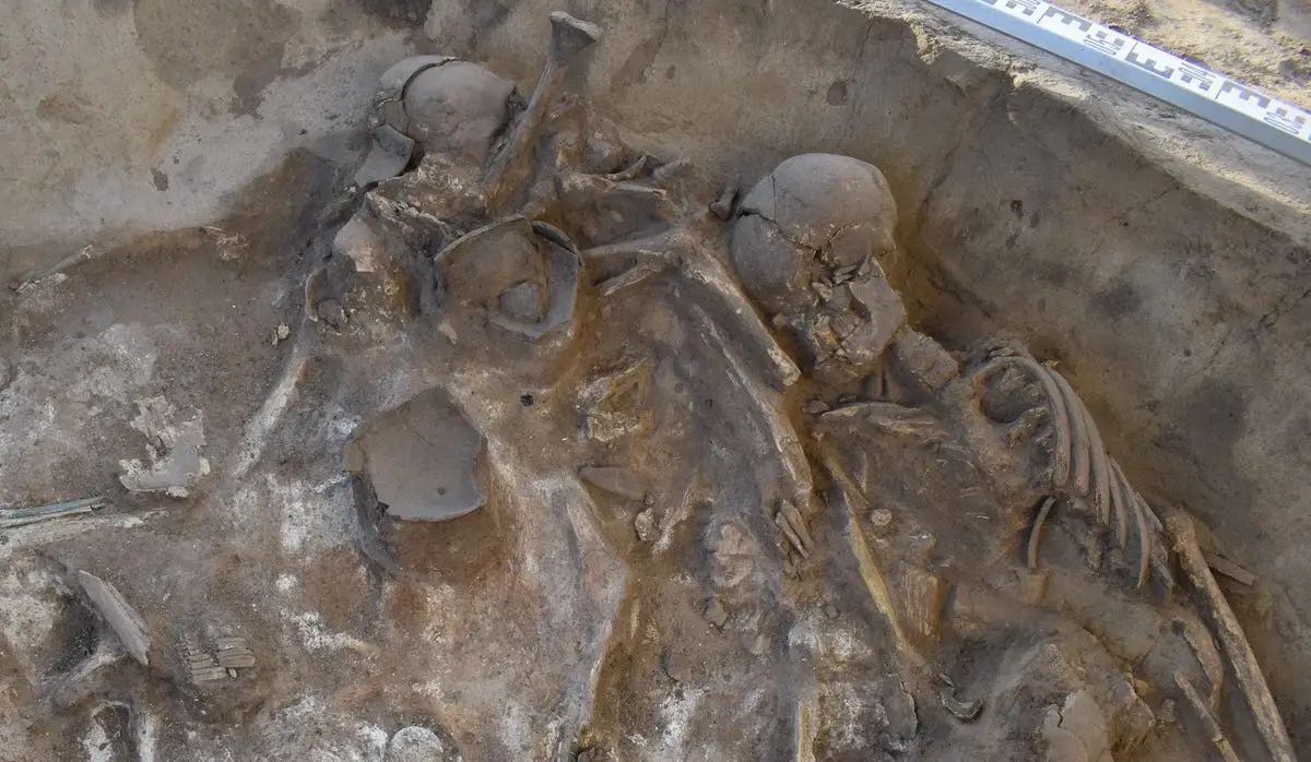 A group of ancient skeletons in a pit with a ruler-like device near it.