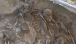 A group of ancient skeletons in a pit with a ruler-like device near it.