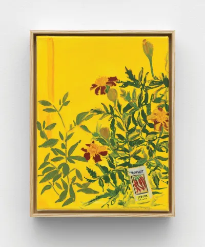 A pared-down still life showing green leaves and flowers on a yellow background. There is a packet showing Thai chiles as well.