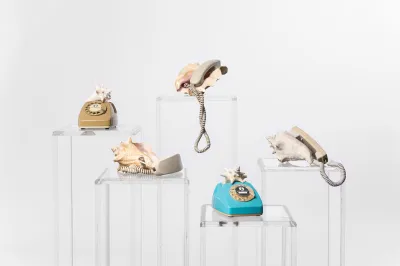 Fiver sculptures of landline telephones that incorporate conch shells.