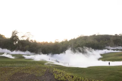An artwork in which fog rises up from a lush green landscape in a forest.