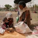 MEKELE, ETHIOPIA - JUNE 16: An aid worker distributes measured portions of yellow lentils to residents of Geha subcity at an aid operation run by USAID, Catholic Relief Services and the Relief Society of Tigray on June 16, 2021 in Mekele, Ethiopia. The distribution center at Geha is currently distributing aid to over 5,000 beneficiaries a day, a number that far exceeds its annual daily distribution numbers during the yearly drought conditions that affect the region.  The numbers have increased due to the 7 month armed conflict and the recent destruction due to the locust infestation in 2020.  G7 leaders recently called for unimpeded access for aid workers in the region where government forces and Eritrean troops have fought regional rebels starting last November. The UN has 350,000 people here are living in famine conditions, a characterization the Ethiopian government disputes, although they have admitted to 