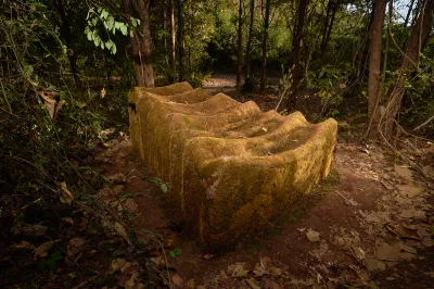 An earthwork with various ridges installed in a forest.