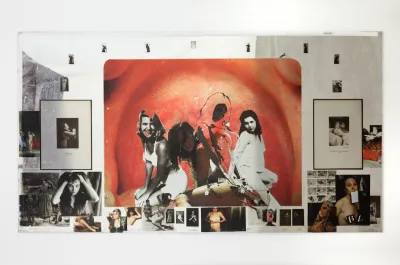 Various images and silhouettes of women pasted atop and around a close-up anatomical photograph of an esophagus.
