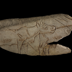 A carving of two reindeer on a bone fragment.