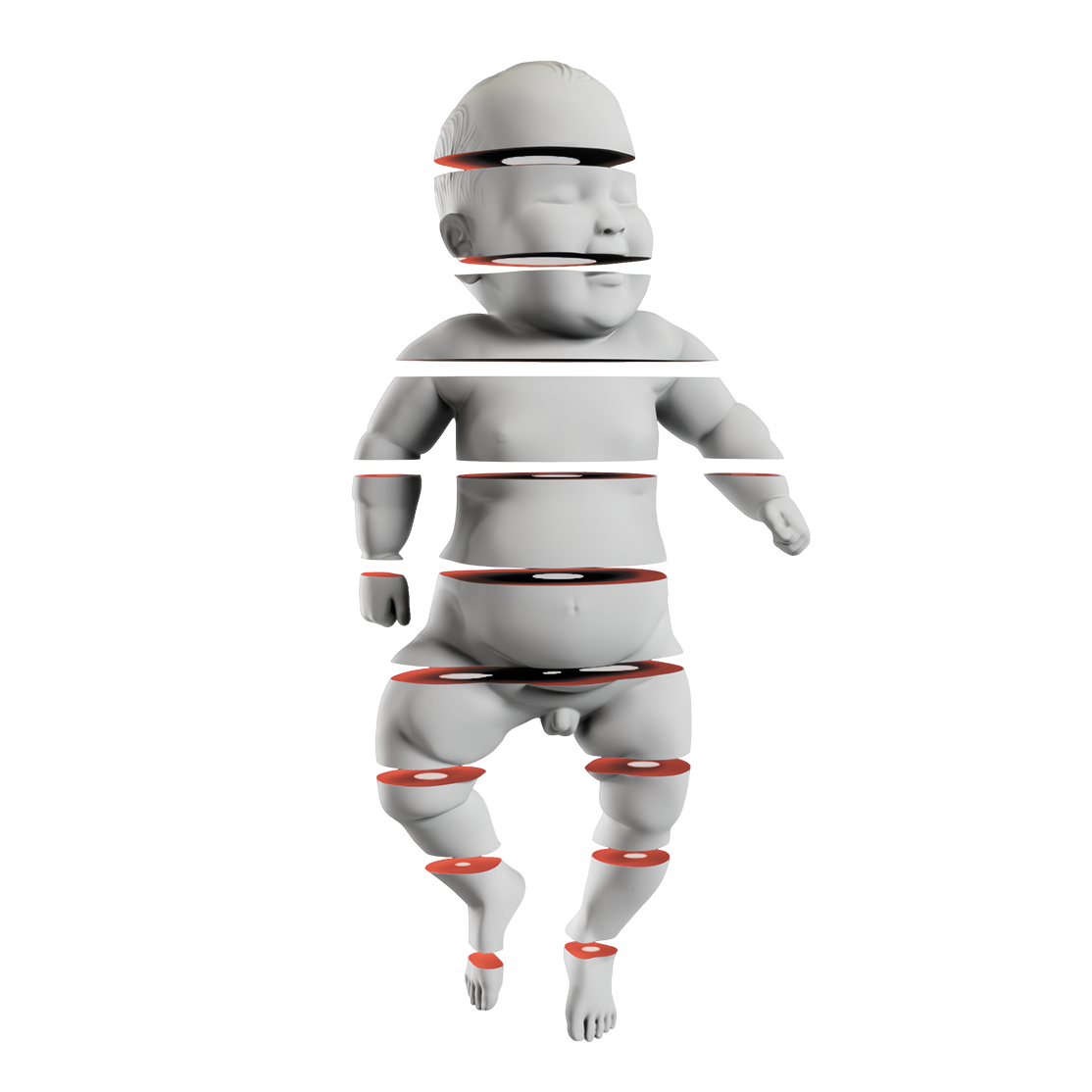 A digital rendering of a baby all sliced up.