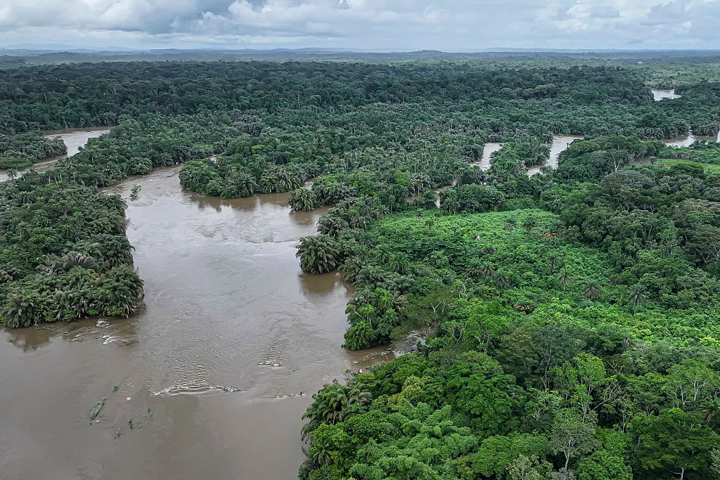 A river running among green banks.