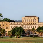 A neo-gothic palace with a palm tree in front.