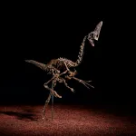 Spike, Caenagnathid Oviraptorosaur, ca. 68 million years ago.