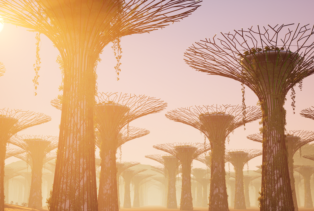 A group of large canopies beneath a bright sun.