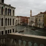 A seagull stands on the 16th-century Rialto Bridge over the Grand Canal in Venice, Italy, Monday, April 13, 2026. (Photo by Danil Shamkin/NurPhoto via Getty Images)