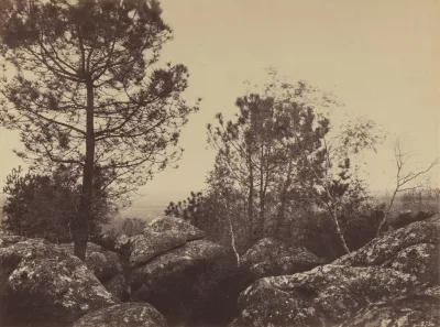 Eugène Cuvelier, Rochers et Pins a Fontainebleau, ca.1860