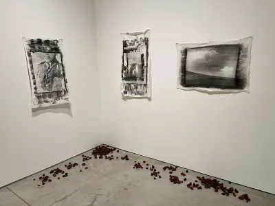 Photographs printed on cloth hang on two walls with items on the floor.