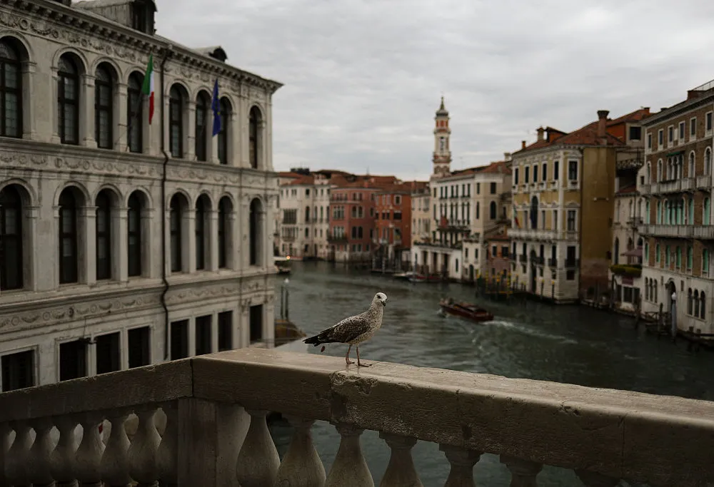 A seagull stands on the 16th-century Rialto Bridge over the Grand Canal in Venice, Italy, Monday, April 13, 2026. (Photo by Danil Shamkin/NurPhoto via Getty Images)