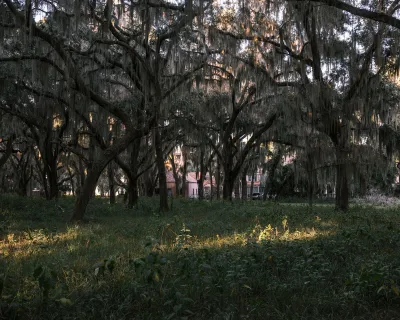 View of trees with a house seen behind.