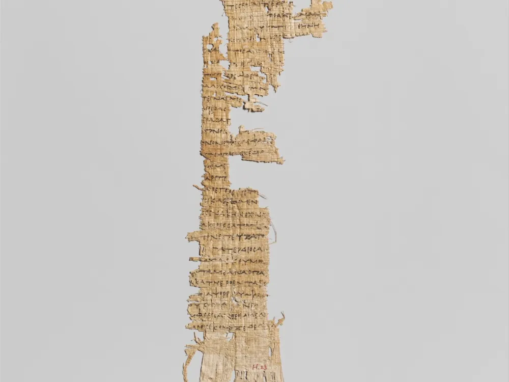 A torn fragment of paper with text.