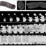 a grid of black and white images showing a charred ancient scroll rolled up and renderings of legible ancient green text