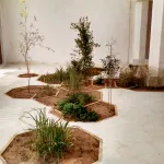Sharjah is Set for the Region