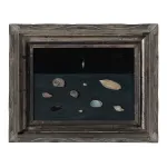 A painting of shells on a table.