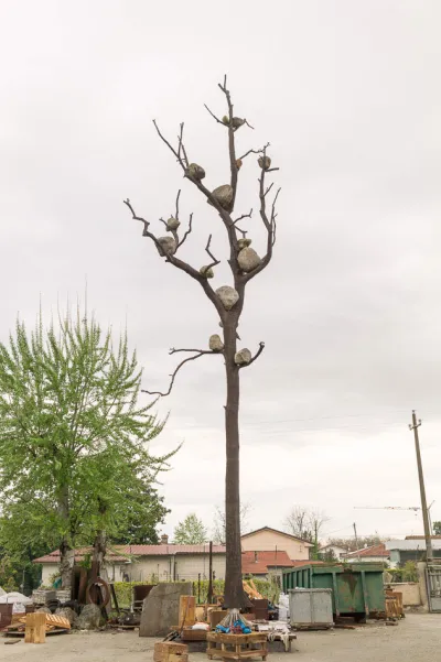 View of an in progress sculpture resembling stones on a tree.